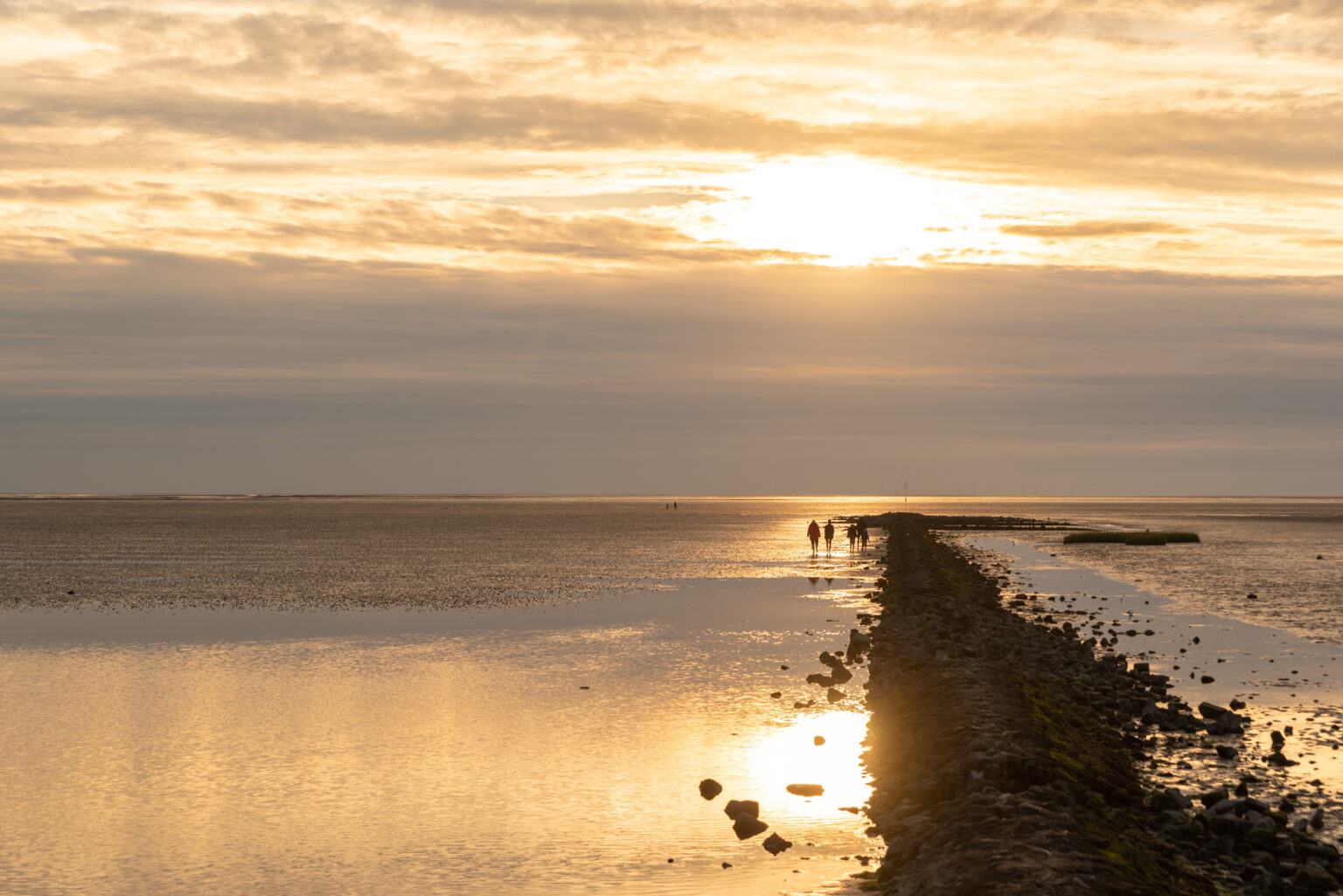 Wattwandern in Dorum-Neufeld